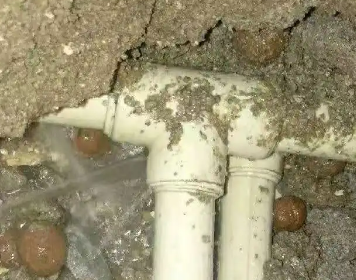 阿拉尔测漏水多少钱