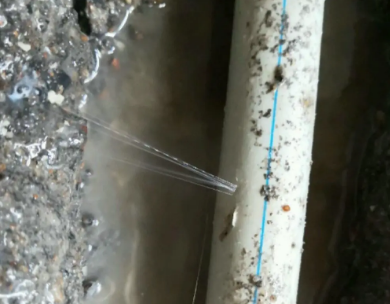 阿拉尔测漏水哪家好