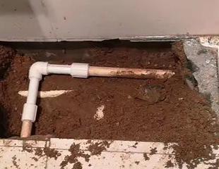 阿拉尔测漏水哪家好