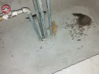 阿拉尔卫生间测漏水价格明细