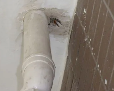 阿拉尔漏水检测哪家好